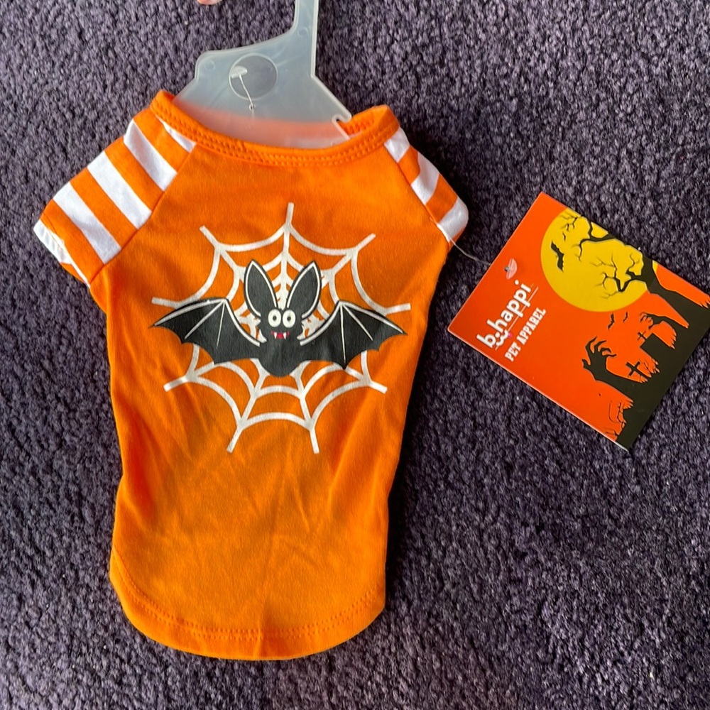 Dog Apparel